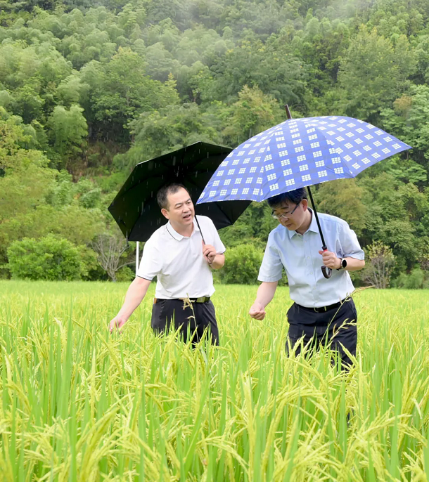 漳平市委主要领导赴拱桥镇宣讲省委十一届八次全会精神并调研防汛工作1.webp.png